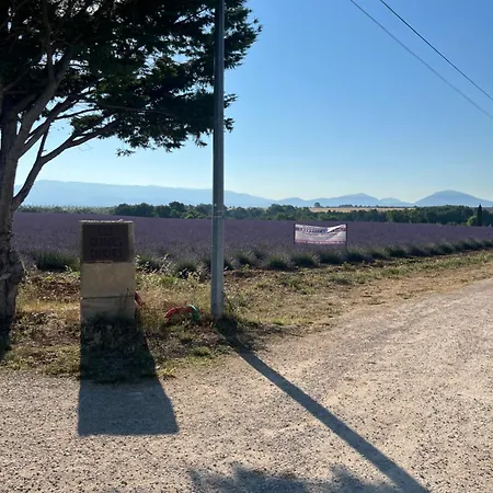 Les Grandes Conches Valensole